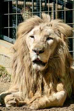 沖縄こどもの国に投稿された画像（2026/2/5）