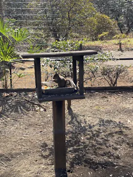 井の頭自然文化園に投稿された画像（2026/2/5）