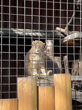 井の頭自然文化園に投稿された画像（2026/2/5）