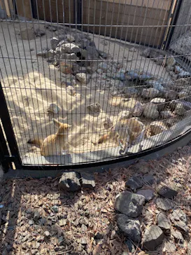 井の頭自然文化園に投稿された画像（2026/2/5）