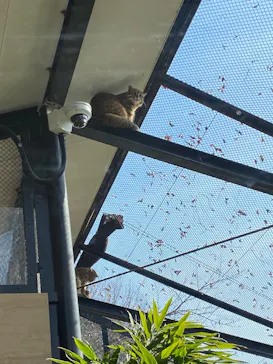 井の頭自然文化園に投稿された画像（2026/2/5）