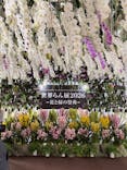世界らん展2026-花と緑の祭典-に投稿された画像（2026/2/5）