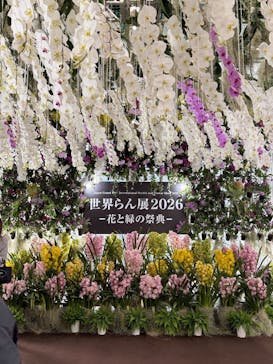 世界らん展2026-花と緑の祭典-に投稿された画像（2026/2/5）