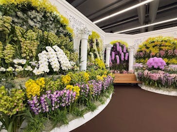 世界らん展2026-花と緑の祭典-に投稿された画像（2026/2/5）