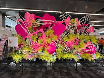 世界らん展2026-花と緑の祭典-に投稿された画像（2026/2/5）