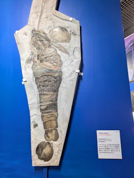 特別展「大絶滅展―生命史のビッグファイブ」に投稿された画像（2026/2/5）