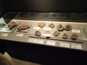 特別展「大絶滅展―生命史のビッグファイブ」に投稿された画像（2026/2/5）