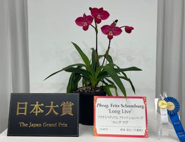 世界らん展2026-花と緑の祭典-に投稿された画像（2026/2/5）