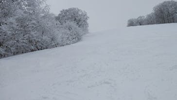 星野リゾート　ネコマ マウンテンに投稿された画像（2026/2/5）