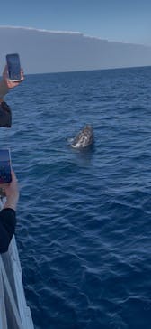 マリンクラブ ベリー 那覇店に投稿された画像（2026/2/5）