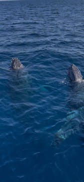 マリンクラブ ベリー 那覇店に投稿された画像（2026/2/5）