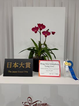 世界らん展2026-花と緑の祭典-に投稿された画像（2026/2/5）