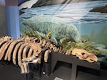 特別展「大絶滅展―生命史のビッグファイブ」に投稿された画像（2026/2/5）