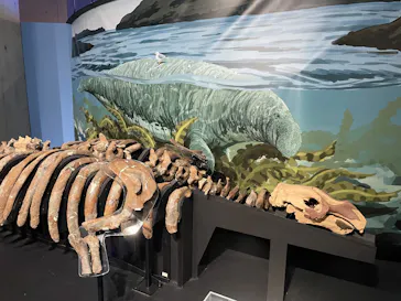 特別展「大絶滅展―生命史のビッグファイブ」に投稿された画像（2026/2/5）