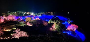 今帰仁城跡に投稿された画像（2026/2/5）