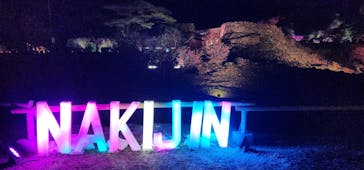 今帰仁城跡に投稿された画像（2026/2/5）