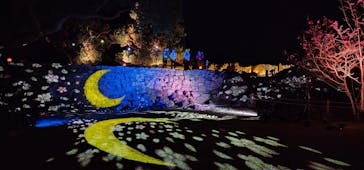 今帰仁城跡に投稿された画像（2026/2/5）