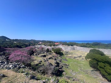 今帰仁城跡に投稿された画像（2026/2/5）