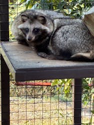 ANIMAL WONDER REZOURT 市原ぞうの国・サユリワールドに投稿された画像（2026/2/6）