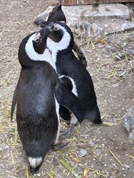 ANIMAL WONDER REZOURT 市原ぞうの国・サユリワールドに投稿された画像（2026/2/6）