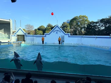 しながわ水族館に投稿された画像（2026/2/6）