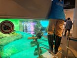 しながわ水族館に投稿された画像（2026/2/6）