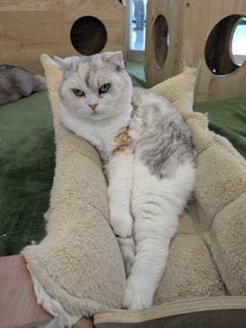 Moff animal world BIGHOPガーデンモール印西店に投稿された画像（2026/2/6）