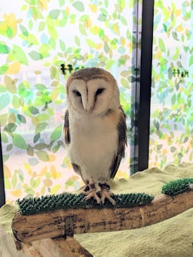 Moff animal world BIGHOPガーデンモール印西店に投稿された画像（2026/2/6）