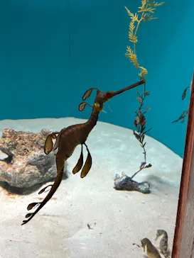 葛西臨海水族園に投稿された画像（2026/2/6）