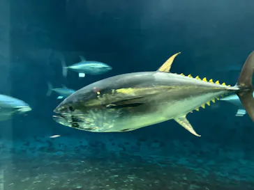 葛西臨海水族園に投稿された画像（2026/2/6）