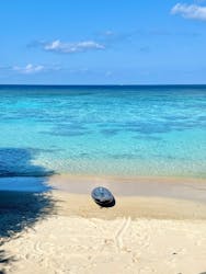 NATURE SHOP PAOに投稿された画像（2026/2/6）