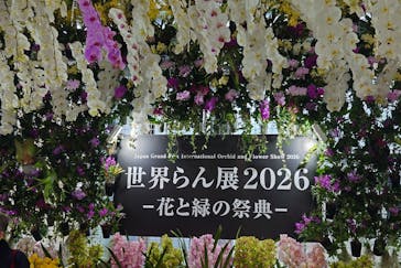 世界らん展2026-花と緑の祭典-に投稿された画像（2026/2/6）
