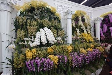 世界らん展2026-花と緑の祭典-に投稿された画像（2026/2/6）