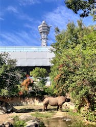 天王寺動物園に投稿された画像（2026/2/6）