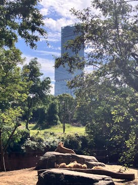 天王寺動物園に投稿された画像（2026/2/6）