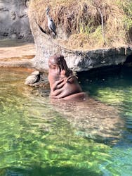 天王寺動物園に投稿された画像（2026/2/6）