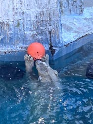 天王寺動物園に投稿された画像（2026/2/6）