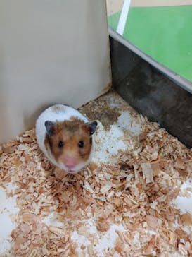 アニタッチ 東京ドームシティに投稿された画像（2026/2/6）