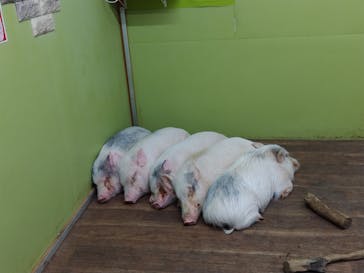 アニタッチ 東京ドームシティに投稿された画像（2026/2/6）