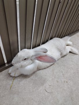 アニタッチ 東京ドームシティに投稿された画像（2026/2/6）