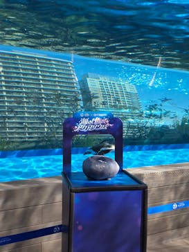 サンシャイン水族館に投稿された画像（2026/2/6）