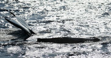 マリンクラブ ベリー 那覇店に投稿された画像（2026/2/6）