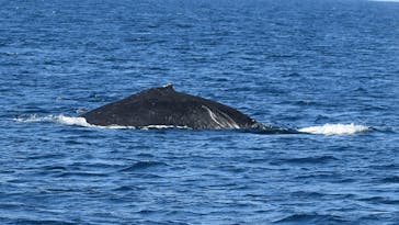 マリンクラブ ベリー 那覇店に投稿された画像（2026/2/6）