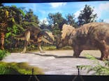 特別展「大絶滅展―生命史のビッグファイブ」に投稿された画像（2026/2/6）