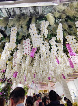 世界らん展2026-花と緑の祭典-に投稿された画像（2026/2/6）