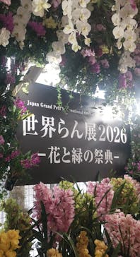 世界らん展2026-花と緑の祭典-に投稿された画像（2026/2/6）