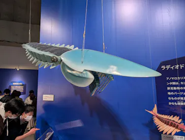 特別展「大絶滅展―生命史のビッグファイブ」に投稿された画像（2026/2/6）