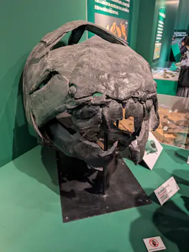 特別展「大絶滅展―生命史のビッグファイブ」に投稿された画像（2026/2/6）