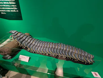 特別展「大絶滅展―生命史のビッグファイブ」に投稿された画像（2026/2/6）