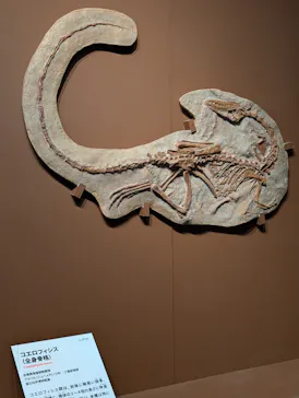 特別展「大絶滅展―生命史のビッグファイブ」に投稿された画像（2026/2/6）